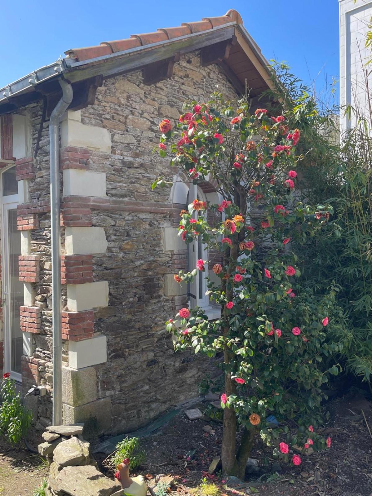 Logement Entier - La Laiterie De La Plume Nantes Ngoại thất bức ảnh